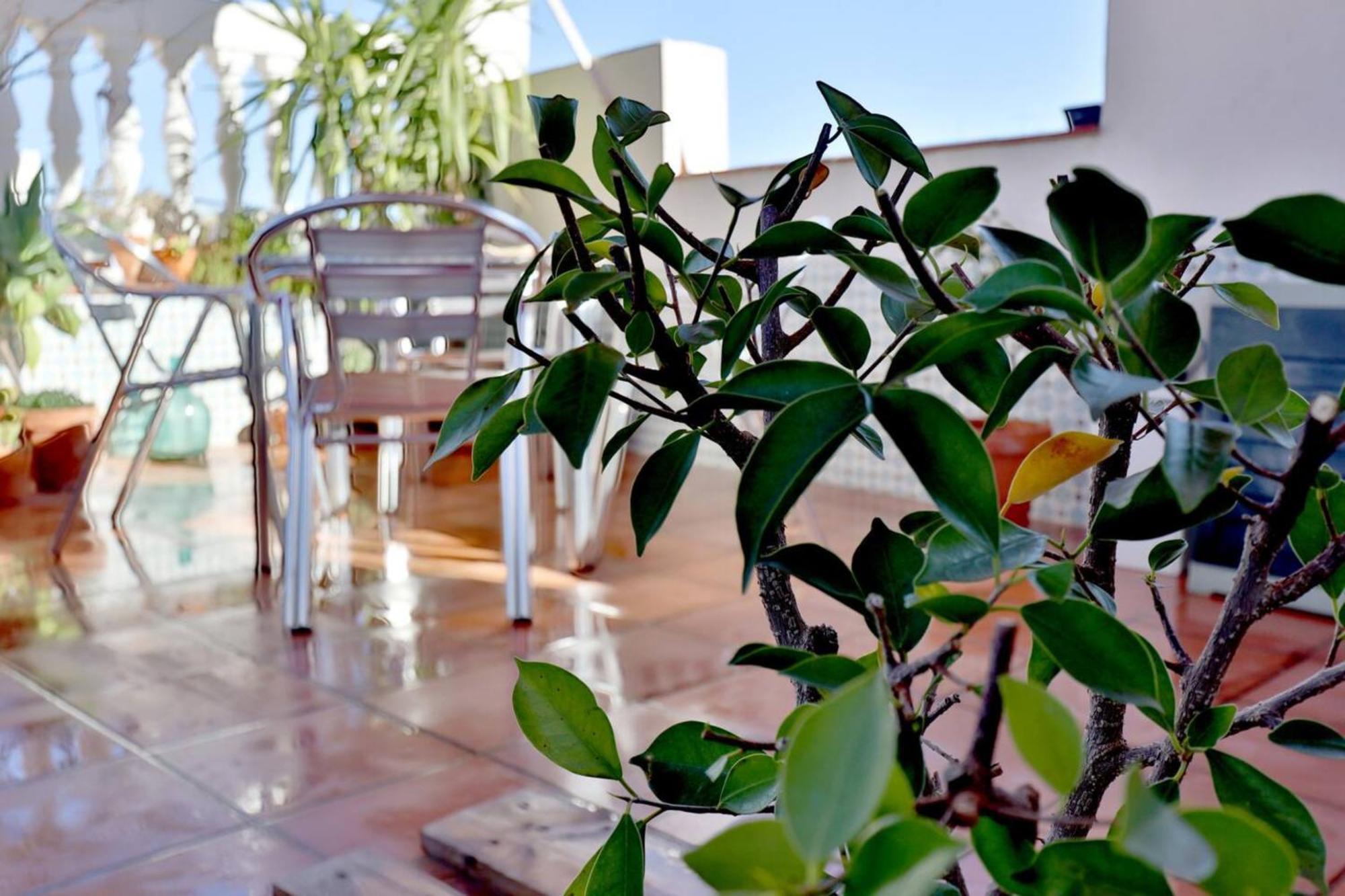 Atico Con Terraza En Pleno Centro Leilighet Córdoba Eksteriør bilde